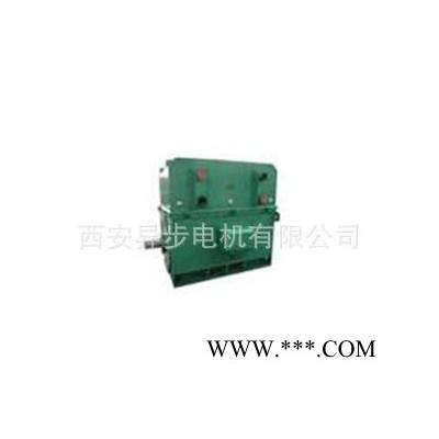 高壓電機(jī)YKS7101-8  西瑪電機(jī) 西安西瑪電機(jī)