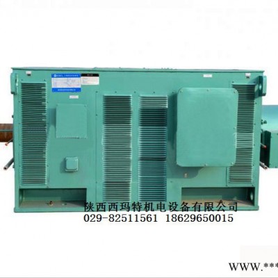 西安西瑪電機(jī)YR8006-12 1250KW 10KV IP23破碎機(jī)繞線型高壓電機(jī)