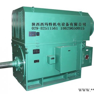 西安西瑪電機(jī)YR5604-10 560KW 10KV IP23破碎機(jī)繞線型高壓電機(jī)