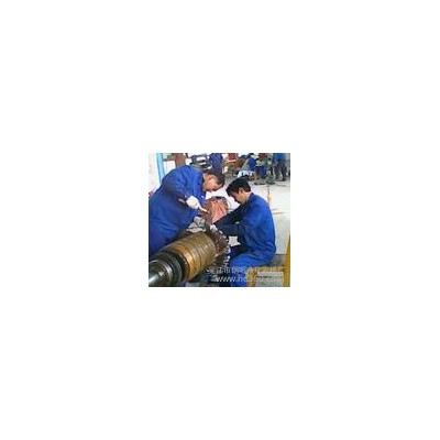 專業(yè)維修YKK系列6KV   10KV高壓電機承接各種型號電機維修業(yè)務