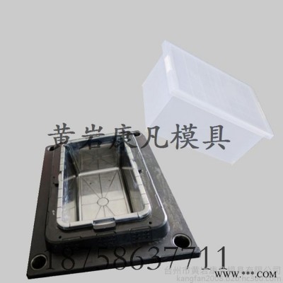 浙江臺州黃巖塑料模具 存儲箱磨具 油漆托盤模具 模具生產(chǎn)