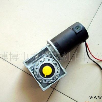 110V永磁電機(jī) 直流電機(jī) 減速電機(jī)博山龍康電機(jī)