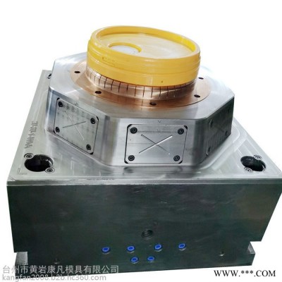 浙江臺(tái)州黃巖模具廠18升 20L塑膠密封油桶注塑機(jī)桶模具涂料桶模具油漆桶模具，
