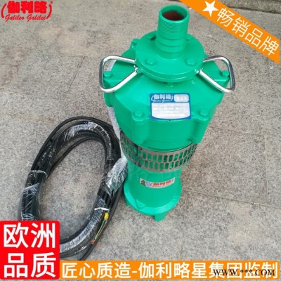 qyf型不銹鋼葉輪污水離心潛污進(jìn)口家用多功能多級(jí)潛水泵