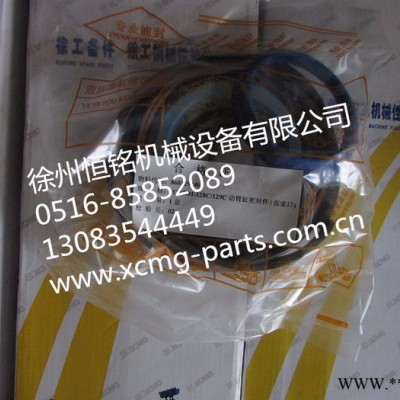 供應(yīng)徐工配件XGYG01-128C/129C 缸密封件(張家口)（860129246 ）