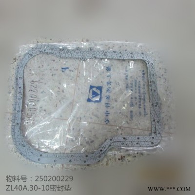 批發(fā)徐工裝載機ZL40密封件250200229 ZL40A.30-10密封墊