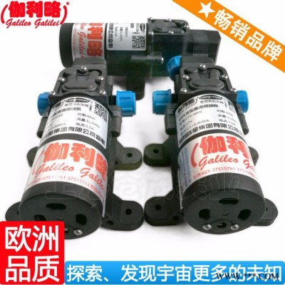 上海恒壓高壓水泵 上海高壓水泵50mpa 上海洗碗機(jī)水泵葉輪 伽叁