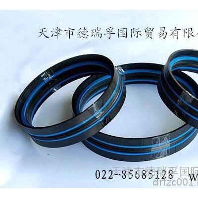 雙唇密封件10285916
