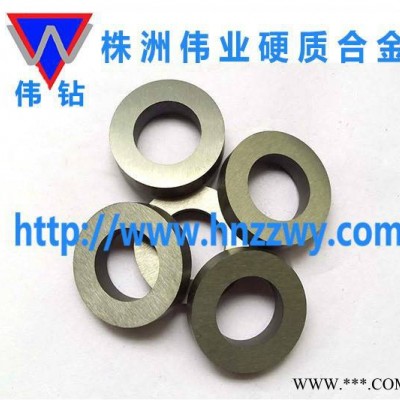 株洲 超耐磨硬質(zhì)合金密封環(huán)密封件