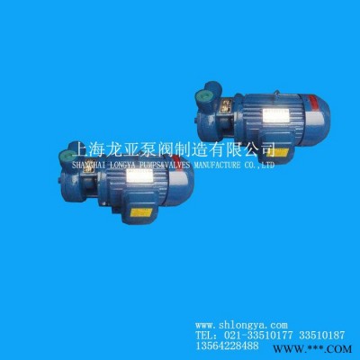 供應1.5W-2.4-10.5不銹鋼葉輪旋渦泵 智能旋渦泵