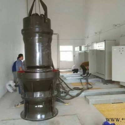 900QZ125-200KW 潛水軸流泵 大流量低揚程水泵 潛水型電泵 不銹鋼葉輪軸流泵