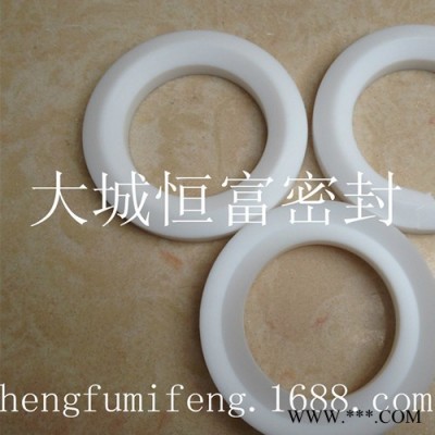 低價供應(yīng)四氟密封件，墊圈，導(dǎo)向環(huán)，改性耐磨活塞環(huán)