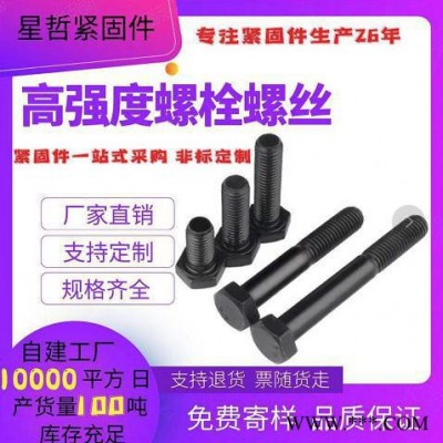 ** 國標 外六角 8.8級10.9級12.9級高強度螺栓 高強度螺絲 星然m6-m100 高強度螺栓 規(guī)格齊全