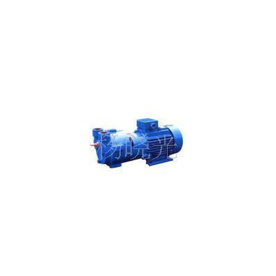 2BV2070銅葉輪水環(huán)真空泵，專業(yè)生產(chǎn)質(zhì)量保證。價格優(yōu)惠