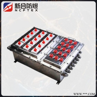 新合BXMD系列防爆配電箱，IIB級(jí)場(chǎng)所用防爆配電箱大小定制
