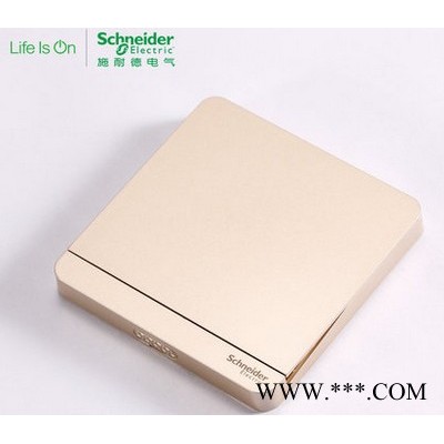 Schneider/施耐德面板配電箱