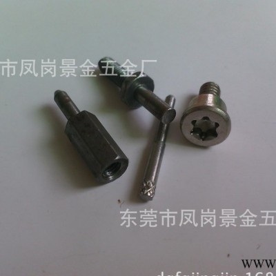 東莞專業(yè)生產(chǎn)螺絲 加工異型螺絲 螺母 非標(biāo)螺絲 螺栓 機(jī)械緊固件