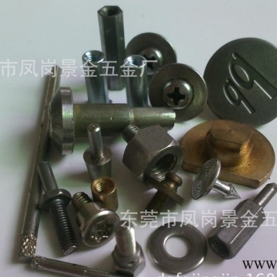 膠頭螺母,手柄螺絲,調(diào)節(jié)旋扭螺絲，墊圈，特殊螺栓，異型螺絲