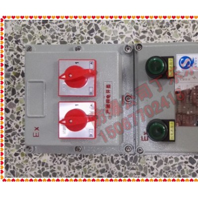 2路防爆照明配電箱 2路防爆配電箱 BXM-2 BXM61-2防爆照明配電箱