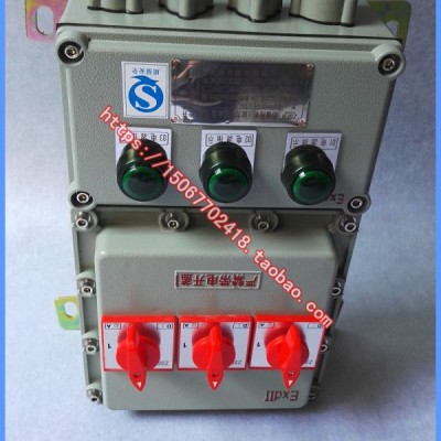 3路防爆配電箱 2K防爆照明配電箱 2路防爆照明動(dòng)力配電箱帶總開關(guān)