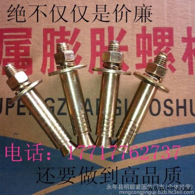 廠價(jià)現(xiàn)貨電梯膨脹 電梯專用膨脹螺絲 電梯壁虎 電梯膨脹栓 電梯錨固螺絲 電梯螺絲M16*120
