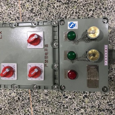 中沈防爆BXM 防爆配電箱BXM-400X600防爆動(dòng)力(照明）配電箱防爆箱**