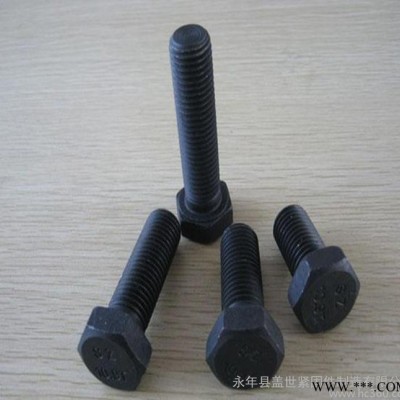 專業(yè)生產(chǎn) 六角螺絲 高強螺絲 M14*40