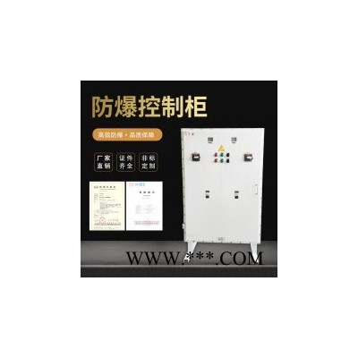中木 防爆配電箱EPS防爆應(yīng)急配電箱防爆控制箱防爆正壓柜防爆溫控箱均可定制EPS應(yīng)急配電箱
