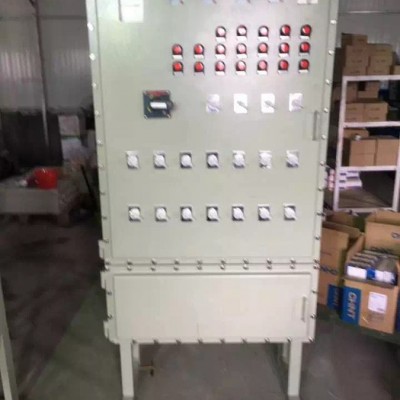 源適BXMD53防爆配電柜 加氣站防爆動(dòng)力配電箱廠 防爆集中配電箱 防爆電源插座箱 防爆多功能配電箱