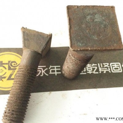 制造：環(huán)保設(shè)備用方頭螺絲 高強(qiáng)度螺絲 M22*100