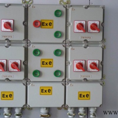 BXD系列防爆配電箱 非標(biāo)防爆配電箱 貴州定做防爆配電箱