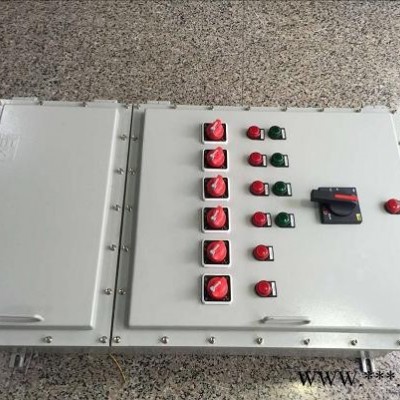 BXK-T系列防爆非標(biāo)箱|動(dòng)力配電箱|動(dòng)力配電箱|低壓動(dòng)力配電箱|壁掛式配電箱