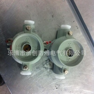 BXQ51系列防爆動力配電箱/電磁動力配電箱（IIB、IIC）