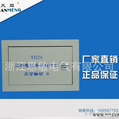 TD28大等電位箱暗裝強(qiáng)電小配電箱室內(nèi)控制箱照明配電箱開關(guān)箱