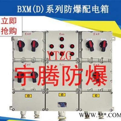 推薦 BXD51系列防爆照明(動(dòng)力)配電箱 高質(zhì)量防爆配電箱