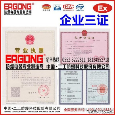 二工防爆BXMD系列防爆配電箱氫氣環(huán)境專用IIC級防爆照明動力配電箱
