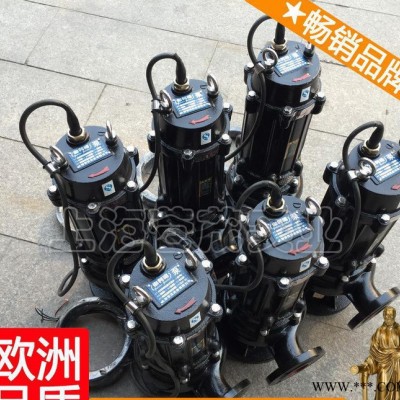 15kw潛水污水泵 應(yīng)急潛污泵 qw渦流控制柜 主打