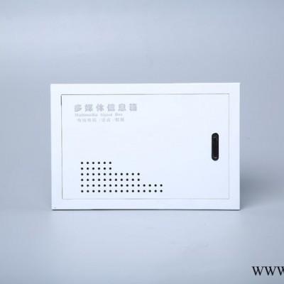 瑞首300配電箱批發(fā)市無二價