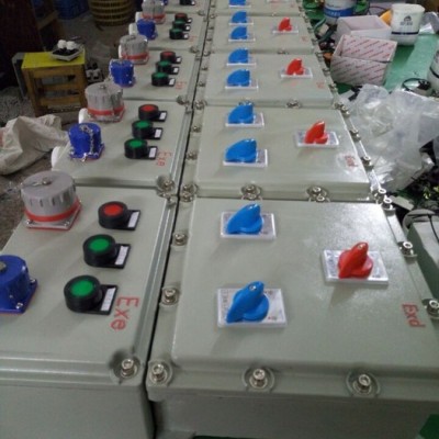 BXMD51室內(nèi)掛式防爆配電箱 粉塵IIC級防爆配電箱