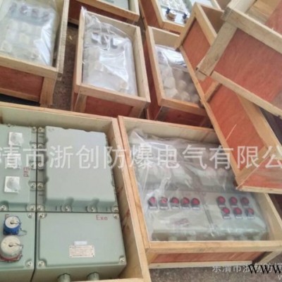 BXMD防爆照明動力配電箱 防爆照明動力配電箱 石油 化工 煤氣