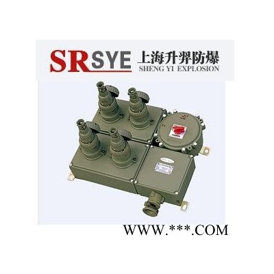 SEBXM（D）-C防爆照明（動(dòng)力）配電箱（檢修電源插座箱）升羿防爆