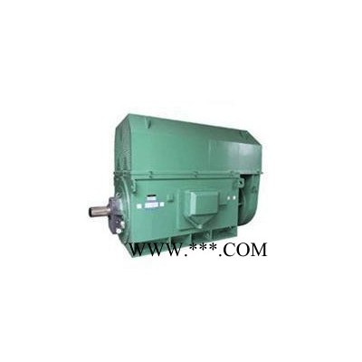 電機(jī)控制柜 YKK6303-10 900KW 10KV 西安西瑪牌高壓電動機(jī)