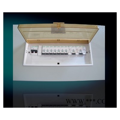 供應(yīng)基業(yè)達(dá)pz30pz30配電箱