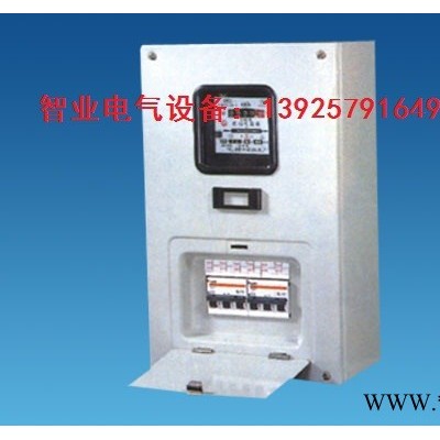 智業(yè)GGD 配電箱 高低壓成套電力設(shè)備(東莞）