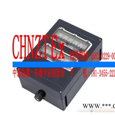 供應(yīng)四川重慶 SFM系列防水防塵防腐照明配電箱 專業(yè)生產(chǎn)