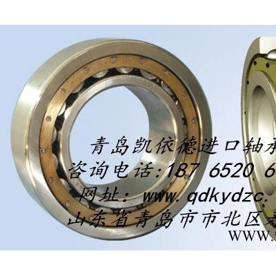 南安SKF進口軸承6007ZZ深溝球軸承軸承代理