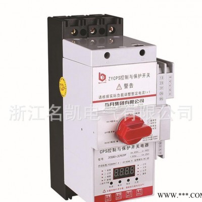 直銷 CPS(KB0)-125C/3P基本型控制與保護開關(guān)電器低壓電器