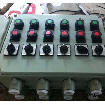 潤發(fā)電器BXK51防爆控制箱