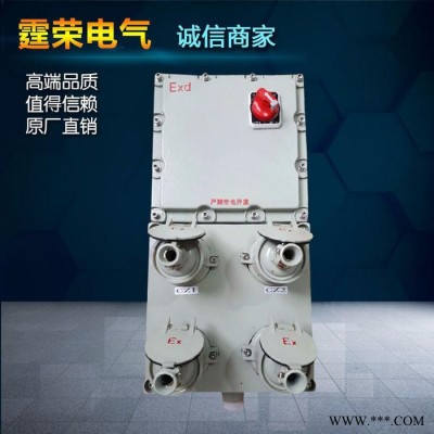 霆榮**BXM(D)防爆配電箱防爆斷路器防爆磁力啟動(dòng)器防爆接線箱防爆空箱 防爆立式操作柱 防爆控制箱防爆檢修箱 定做