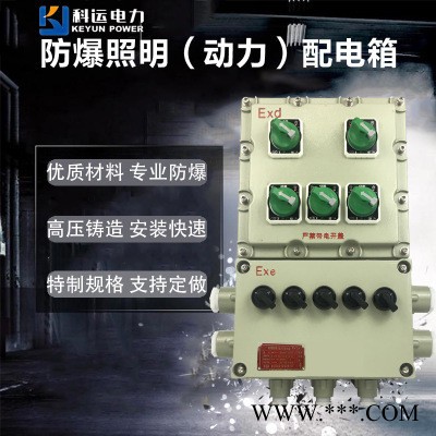 BXDM-T3防爆照明（動(dòng)力）配電箱控制柜防爆電箱壁掛式防爆控制箱